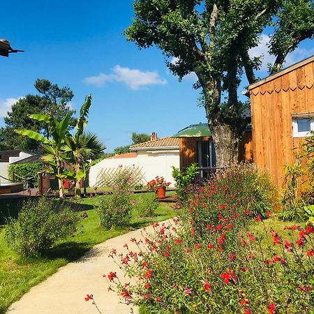 Les Petits Chalets De Kzo La Teste-de-Buch Eksteriør bilde